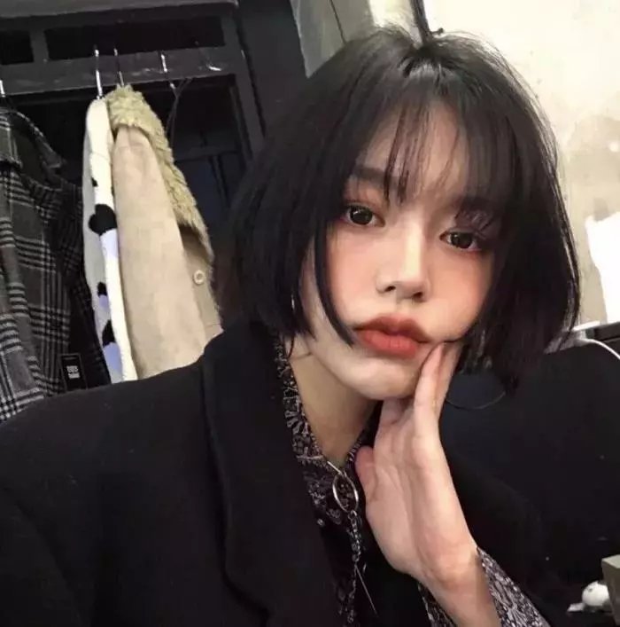 莫莉计划